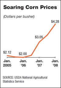 Corn_prices